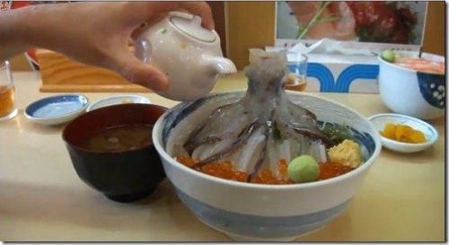 Голожаберные моллюски интересные факты. Интересные факты о моллюсках