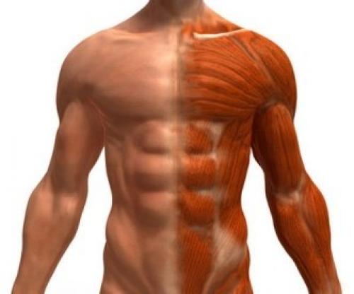 Витамины. Самые полезные витамины для организма человека