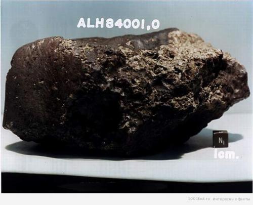 Метеориты факты интересные.  