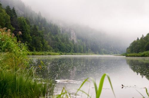 Секач кабан это. Реальные кабаны — ТОП-5 самых больших трофеев секачей добытых охотниками