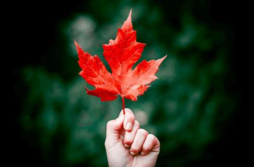 Научная статья про осень. 7 интересных фактов про осень 10