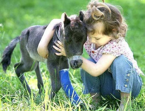 Необычные брюхоногие Моллюски. В мире животных.Необычные, но прекрасные Моллюски