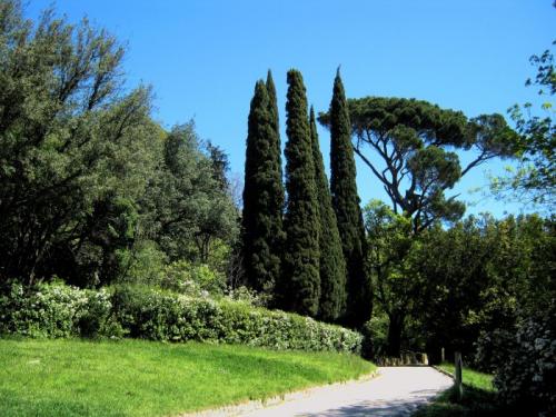 Черного моря растения и животные. Растения и животные побережья Черного моря: описание обитателей суши и фото природы черноморского побережья.