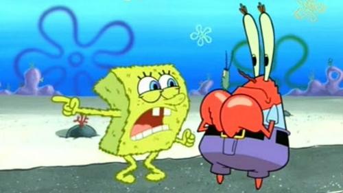 Факты о губках биология. 13 фактов о Губке Бобе (Часть 1)