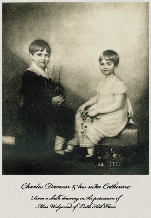 Расскажите об эволюционном развитии древних людей. Этапы эволюции человека 07