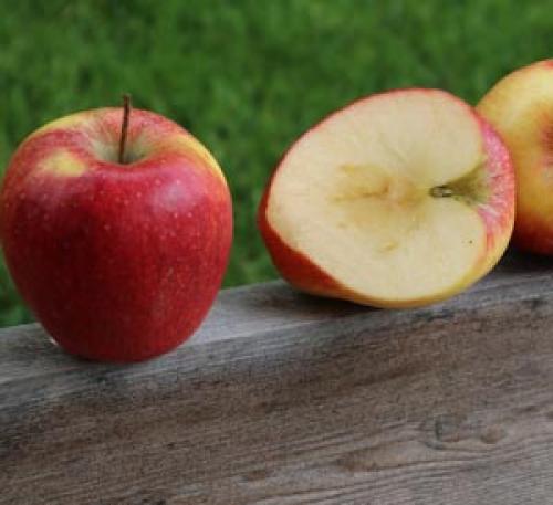 Интересные факты о витаминах для детей. 20 обалденных фактов о витаминах и минералах 02