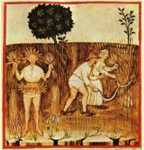 Интересные факты об осени для детей. Интересные факты про осень 04