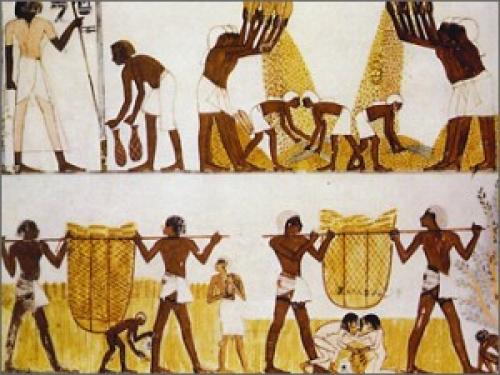 Факты о хлебе. Хлеб — интересные факты 07 Факты о хлебе. Хлеб — интересные факты 07