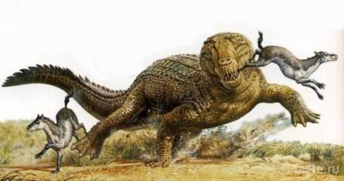 Интересные факты о пресмыкающихся. Интересные факты о рептилиях