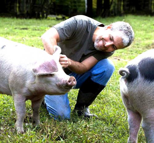 Интересные факты о кабанах для детей. Интересное о кабанах