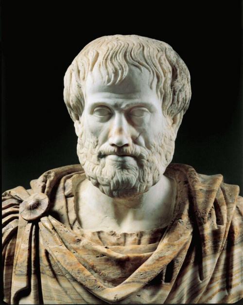 Аристотель наиболее интересные факты из его научной деятельности. Аристотель: интересные факты из жизни
