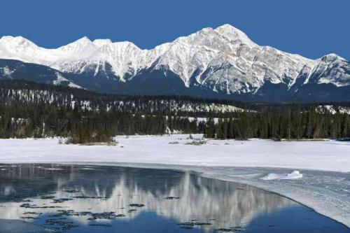 Интересные факты о материке северная Америка. 19 фактов о материке 21