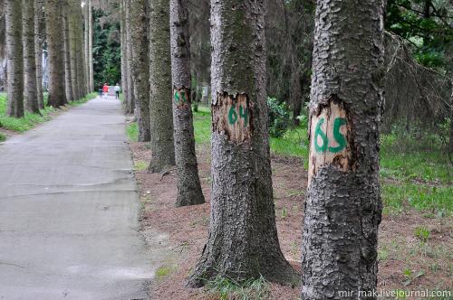 Пирогов винница. Национальный музей-усадьба Н.И.Пирогова в Виннице