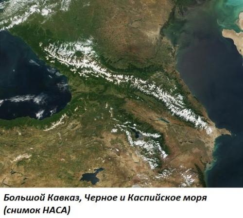 Животные субтропиков Краснодарского края. Где находятся российские субтропики