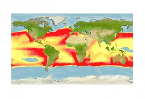 Интересные факты о карте и глобусе. Интересные факты о глобусе для детей. Кто создал первый глобус 14