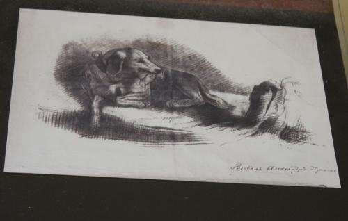 План лицейские годы Пушкина. Как учились лицеисты