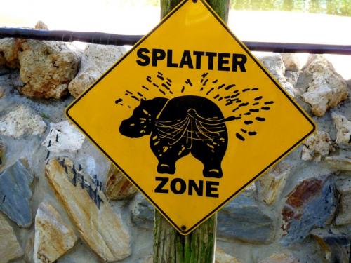 Бегемот разбрасывает хвостом. Бегемоты могут использовать свою задницу в качестве роторного снегоочистителя