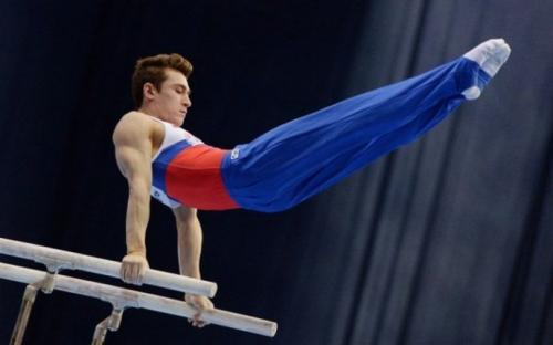 Интересные факты художественная гимнастика. Любопытные факты о спортивной гимнастике 14