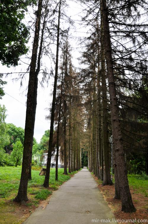 Пирогов винница. Национальный музей-усадьба Н.И.Пирогова в Виннице