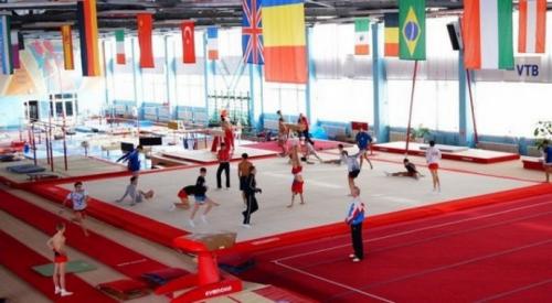 Интересные факты художественная гимнастика. Любопытные факты о спортивной гимнастике 16