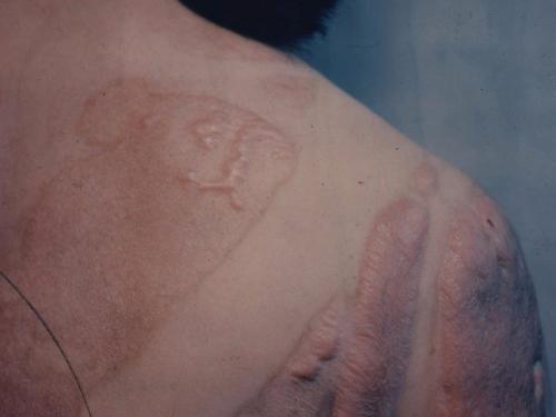 В каком году хиросима Нагасаки была взорвана. Ад для мирных жителей