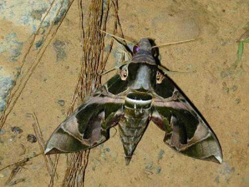 Научный факт пример. 10 некомфортных научных фактов