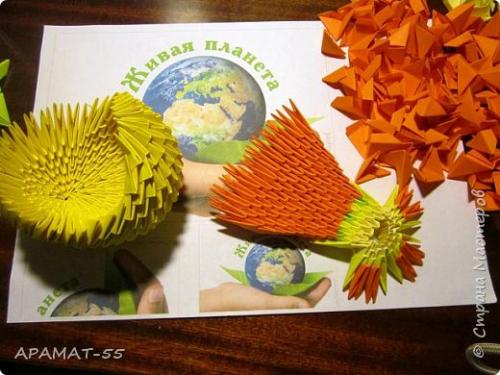 Венерин башмачок раскраска. Советы и вопросы