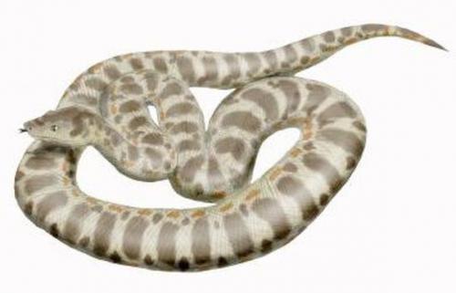 Разные интересные факты обо всем на свете.