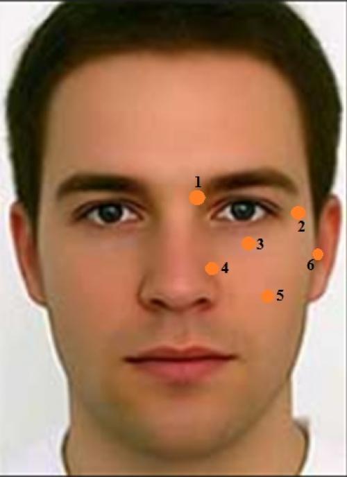 Пятая точка это, что. Почему попу называют именно так 01