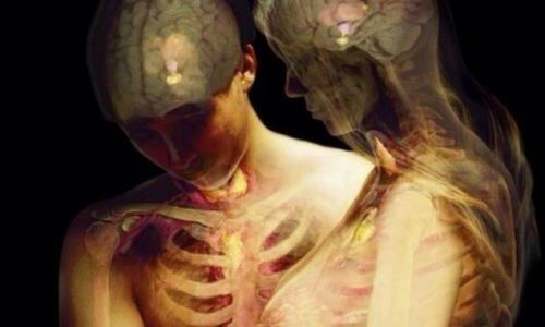 Интересные факты о человеке для детей. То чего мы не знали... Интересные факты о человеке.