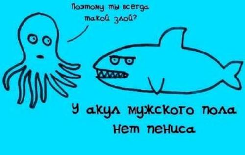 Интересные факты про общественный транспорт. 10 необычные видов транспорта, которые можно встретить в реальном путешествии