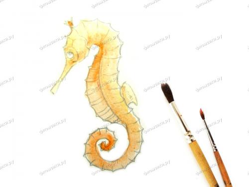 Как нарисовать морского конька
