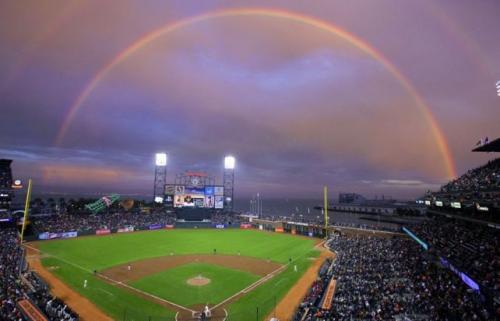 Факты о цветах. 17 интересных фактов о цветах. 03