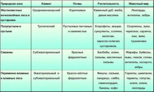 Интересные факты о климатических поясах. Интересные факты о климате России 01 Интересные факты о климатических поясах. Интересные факты о климате России 01