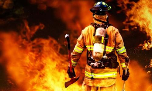 О работе факты. 10 фактов о трудовом законодательстве в разных странах мира 03