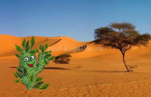 Кактус интересные факты. 10 интересных фактов о, кактусах 03