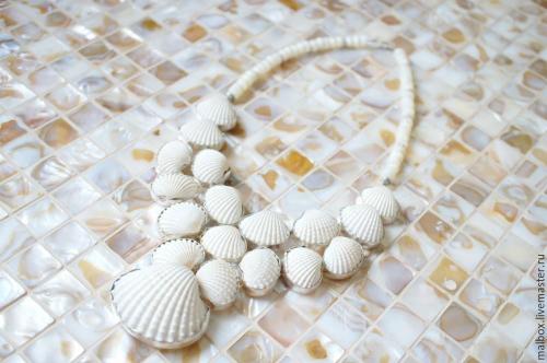 Краткий рассказ о моллюсках. Кто такие моллюски?