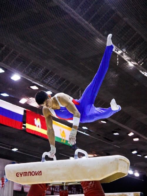 Интересные факты спортивная гимнастика. Любопытные факты о спортивной гимнастике 12