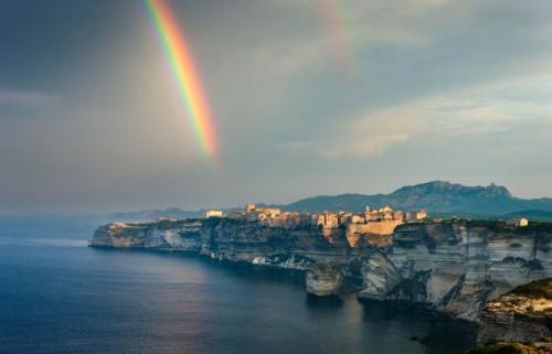 Факты о цветах. 17 интересных фактов о цветах. 04