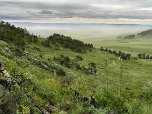 Интересные факты о степи 14