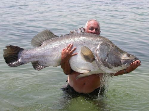 Река нил интересные факты. Река Нил: некоторые интересные факты 06