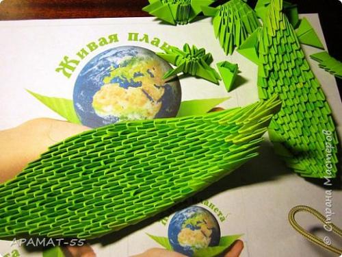 Венерин башмачок раскраска. Советы и вопросы