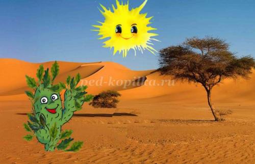 Кактус интересные факты. 10 интересных фактов о, кактусах 06