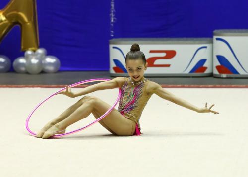 Виды спортивной гимнастики. Виды гимнастики: чем отличаются