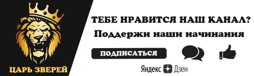 Бегемот кусает бегемота. Бегемот - вот кто на самом деле самое опасное животное для человека