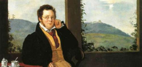 5 фактов из биографии Шуберта. Интересные факты о Шуберте