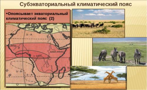 Интересные факты о климатических поясах. Интересные факты о климате России 04 Интересные факты о климатических поясах. Интересные факты о климате России 04