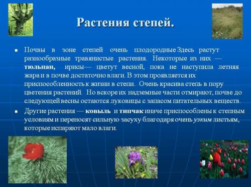 Интересные факты о степи