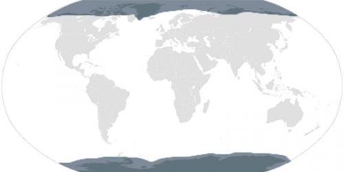 Климатические пояса таблица. Климатические зоны мира — классификация, карта и описание типов климата по Алисову