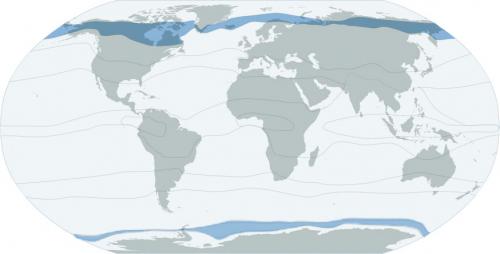 Климатические пояса таблица. Климатические зоны мира — классификация, карта и описание типов климата по Алисову